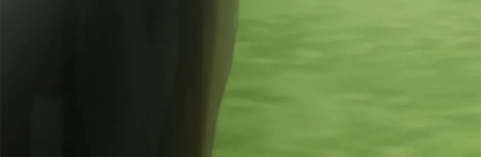 Read A Mouse Biting a Dragon
