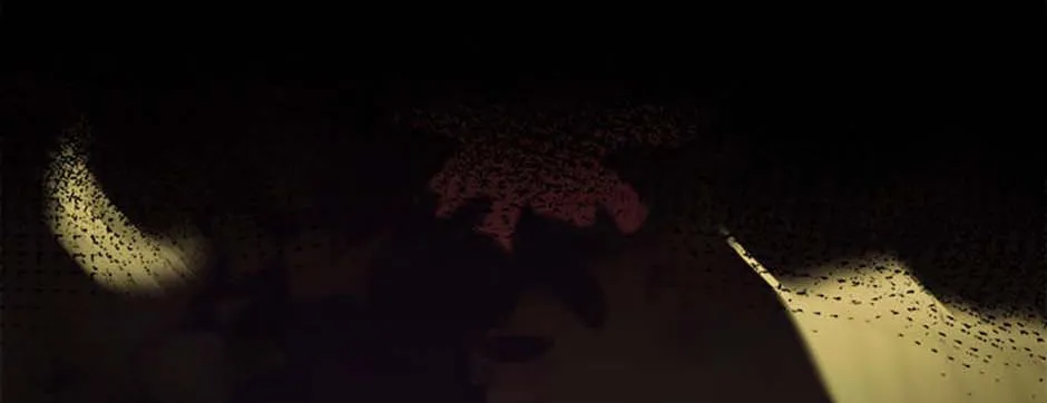 Read A Mouse Biting a Dragon