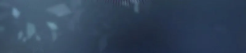 Read A Mouse Biting a Dragon