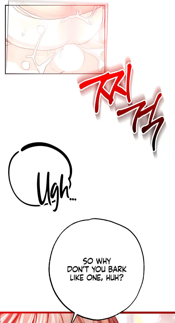 Read A Pervert Who Only Picks and Devours Other Perverts chapter 12 image 66 on Lezhin