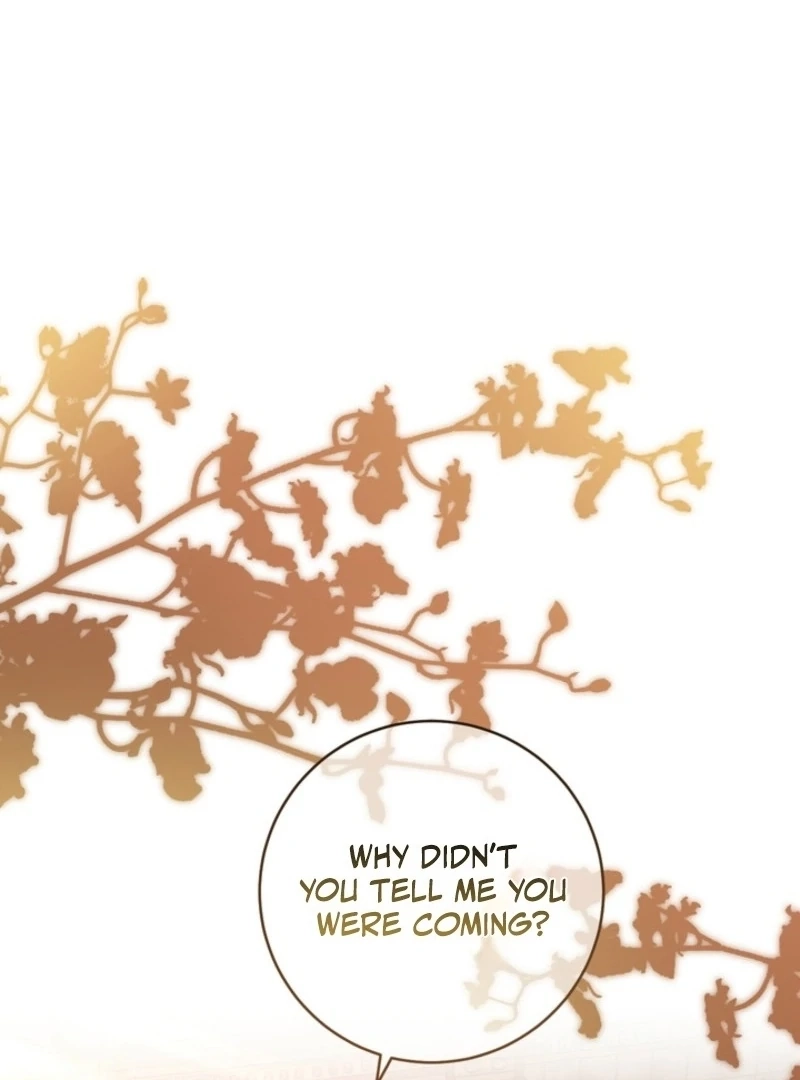 A Prince for You Chapter 36 page 20 - 