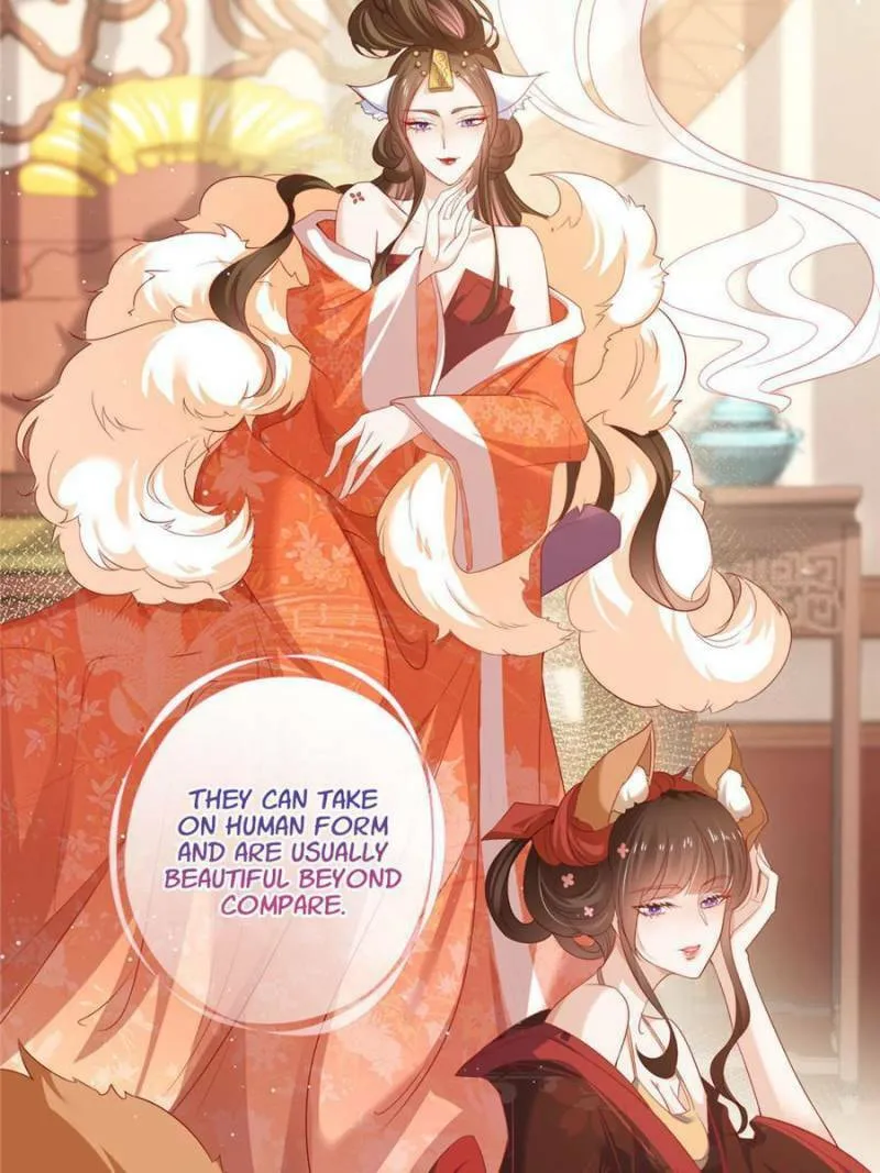 Read A Professional Assassin Raises a Fox chapter 1 image 1 on Lezhin