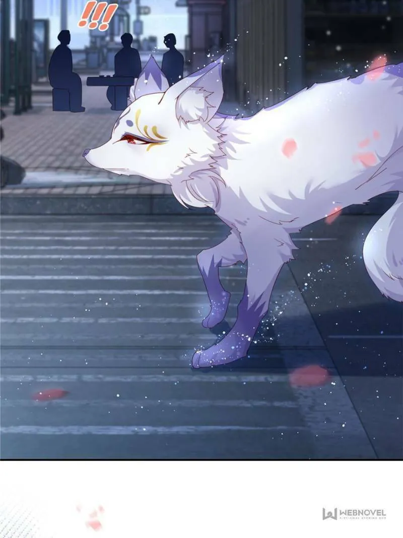 Read A Professional Assassin Raises a Fox chapter 1 image 16 on Lezhin