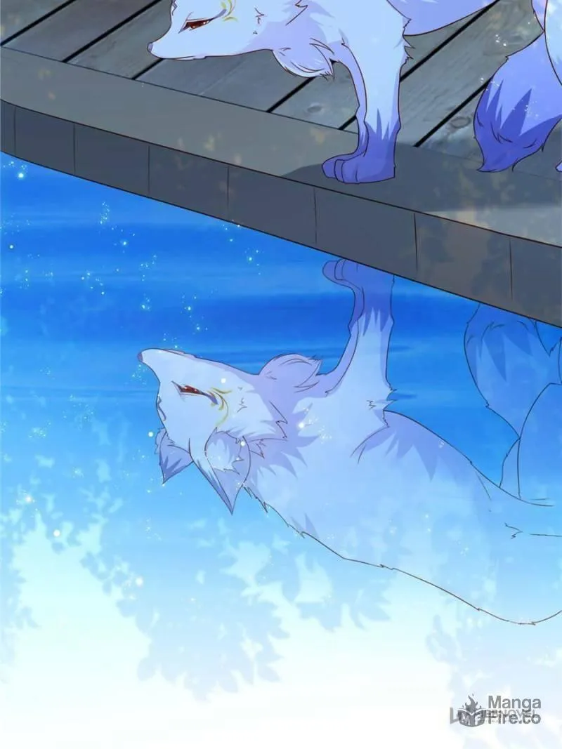 Read A Professional Assassin Raises a Fox chapter 1 image 20 on Lezhin