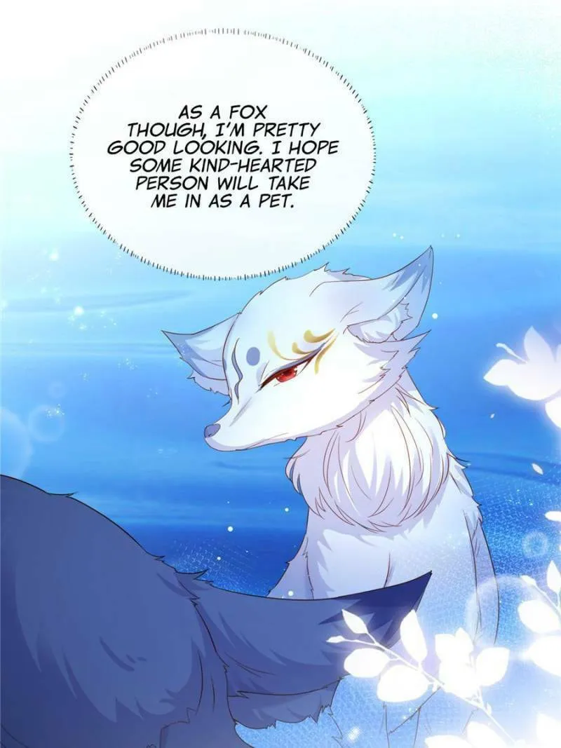 Read A Professional Assassin Raises a Fox chapter 1 image 21 on Lezhin