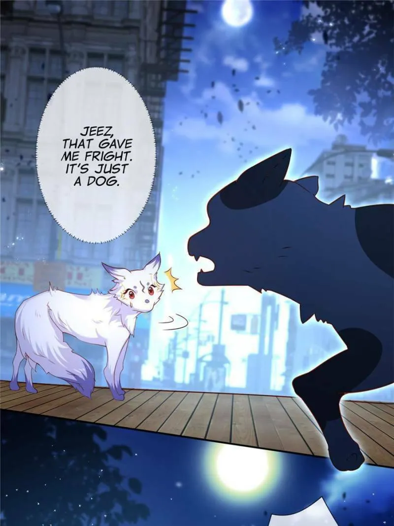 Read A Professional Assassin Raises a Fox chapter 1 image 25 on Lezhin