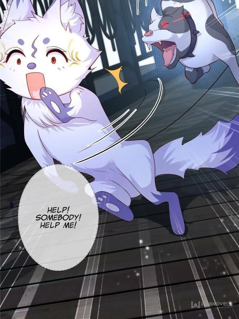 Read A Professional Assassin Raises a Fox chapter 1 image 28 on Lezhin