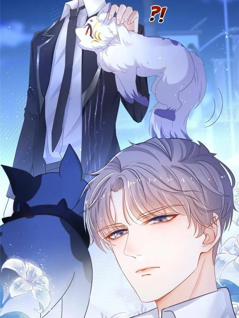 Read A Professional Assassin Raises a Fox chapter 1 image 30 on Lezhin