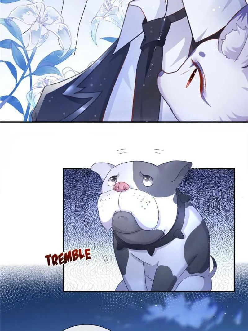 Read A Professional Assassin Raises a Fox chapter 1 image 31 on Lezhin