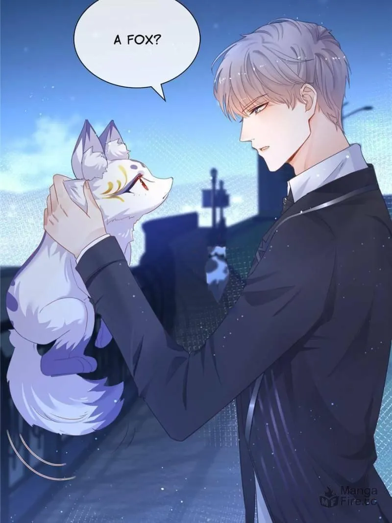 Read A Professional Assassin Raises a Fox chapter 1 image 32 on Lezhin