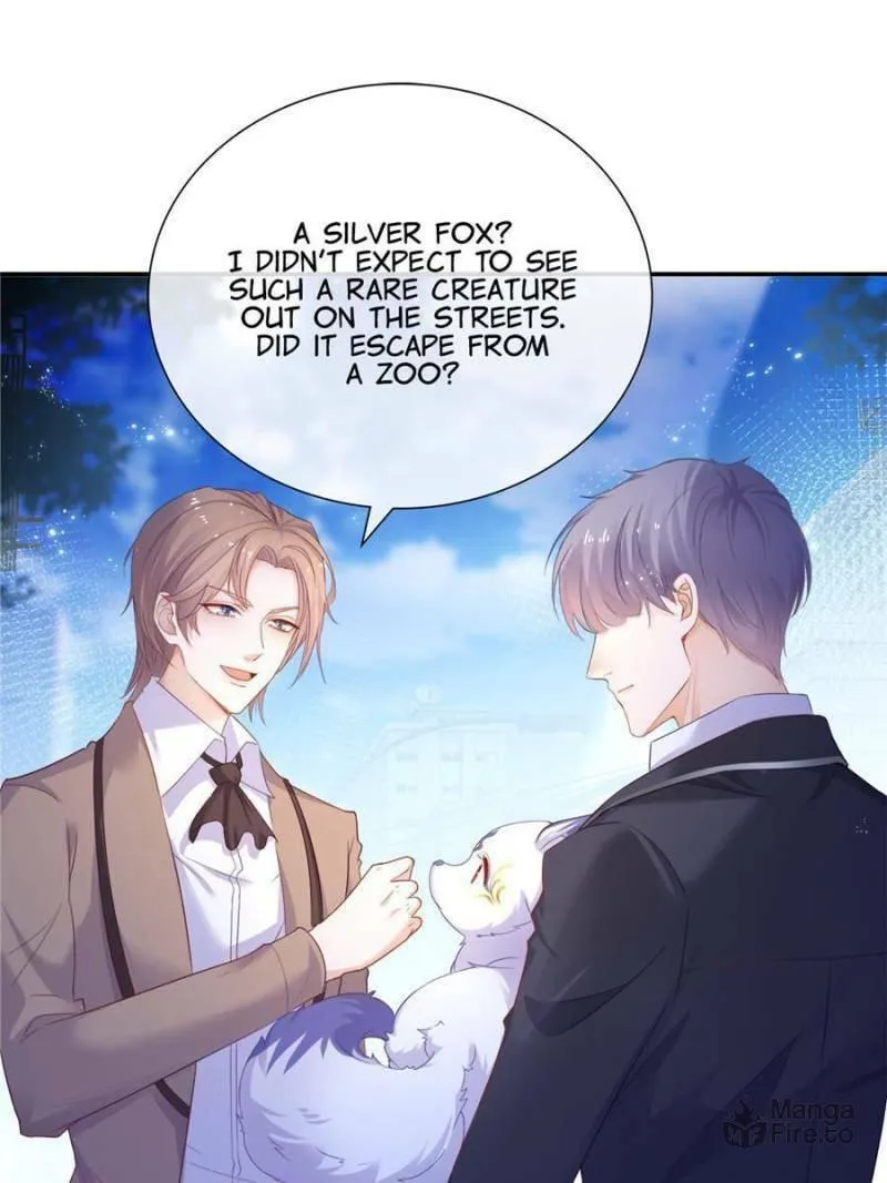 Read A Professional Assassin Raises a Fox chapter 1 image 34 on Lezhin
