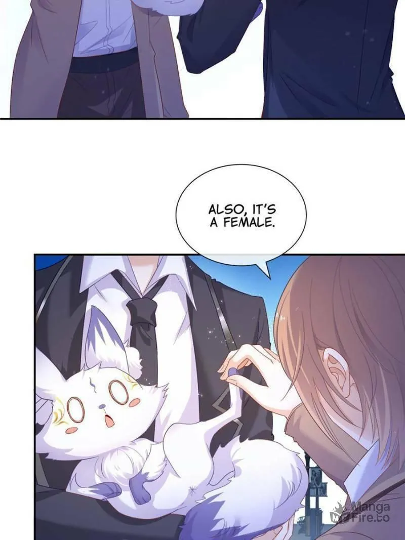 Read A Professional Assassin Raises a Fox chapter 1 image 35 on Lezhin