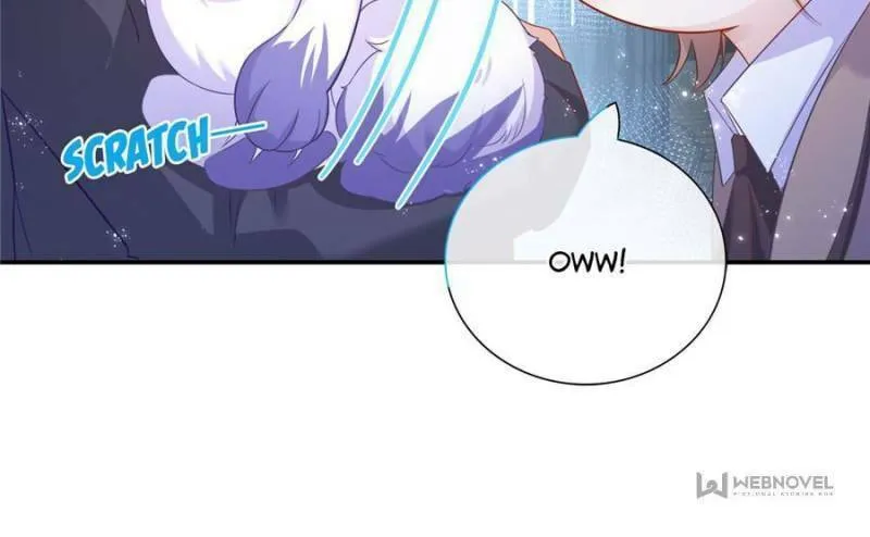 Read A Professional Assassin Raises a Fox chapter 1 image 37 on Lezhin