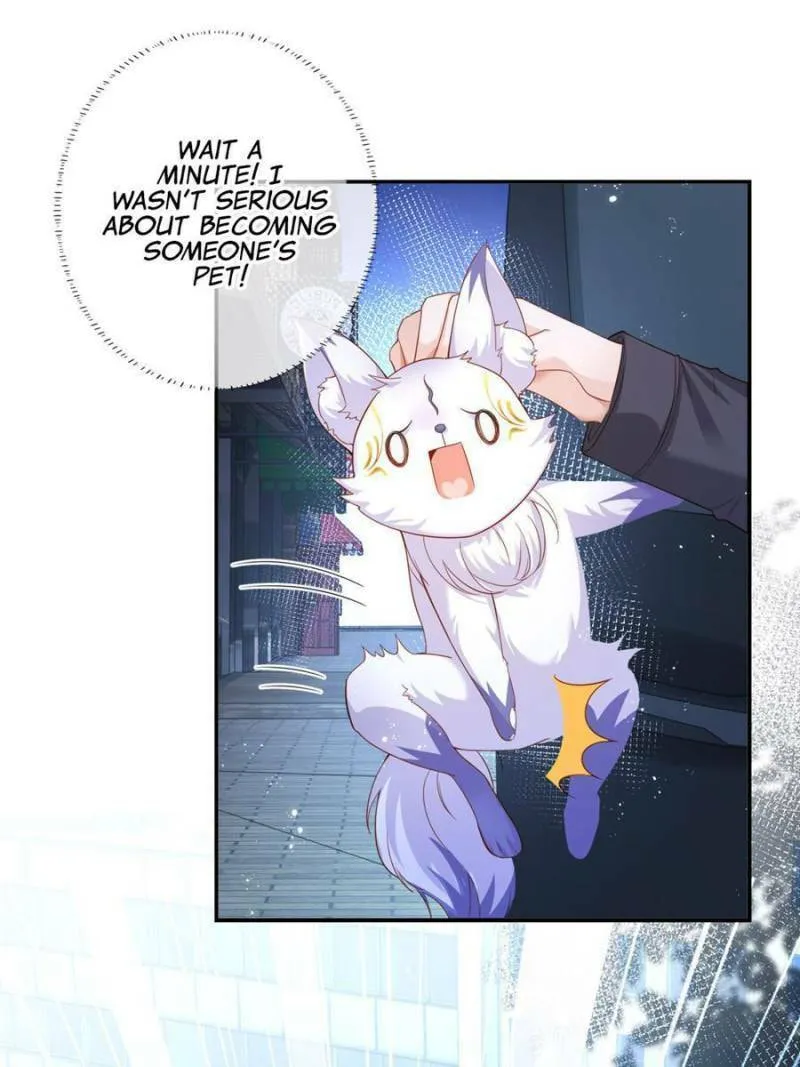 Read A Professional Assassin Raises a Fox chapter 1 image 42 on Lezhin