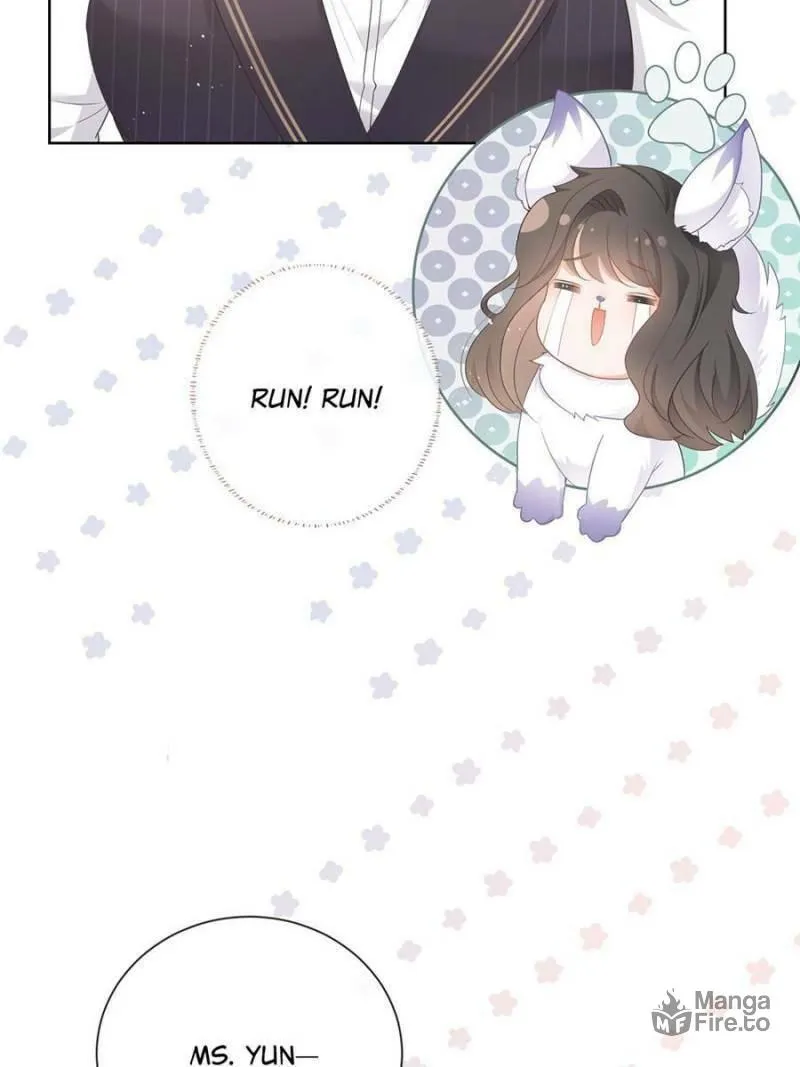A Professional Assassin Raises a Fox Chapter 10 page 25 - 