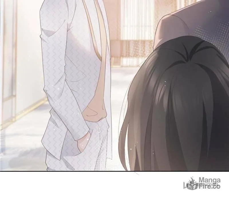 A Professional Assassin Raises a Fox Chapter 10 page 36 - 