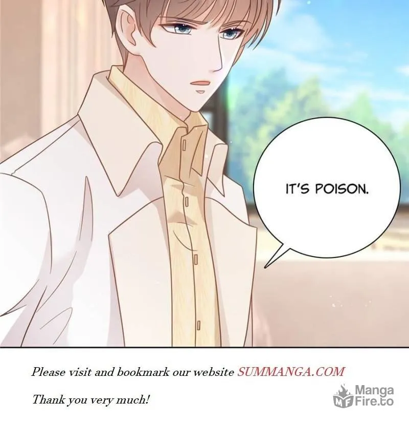 A Professional Assassin Raises a Fox Chapter 100 page 42 - 