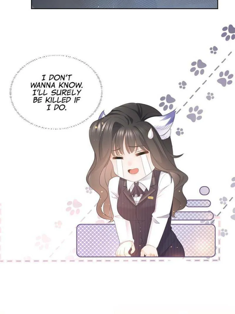 A Professional Assassin Raises a Fox Chapter 11 page 13 - 