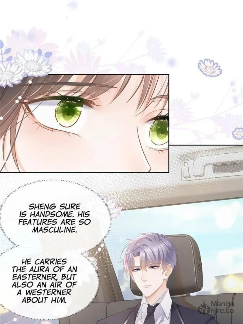 A Professional Assassin Raises a Fox Chapter 11 page 3 - 