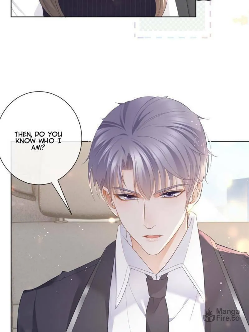 A Professional Assassin Raises a Fox Chapter 11 page 10 - 