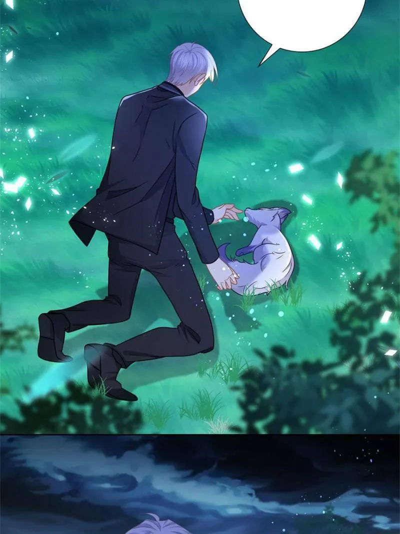 A Professional Assassin Raises a Fox Chapter 111 page 7 - 