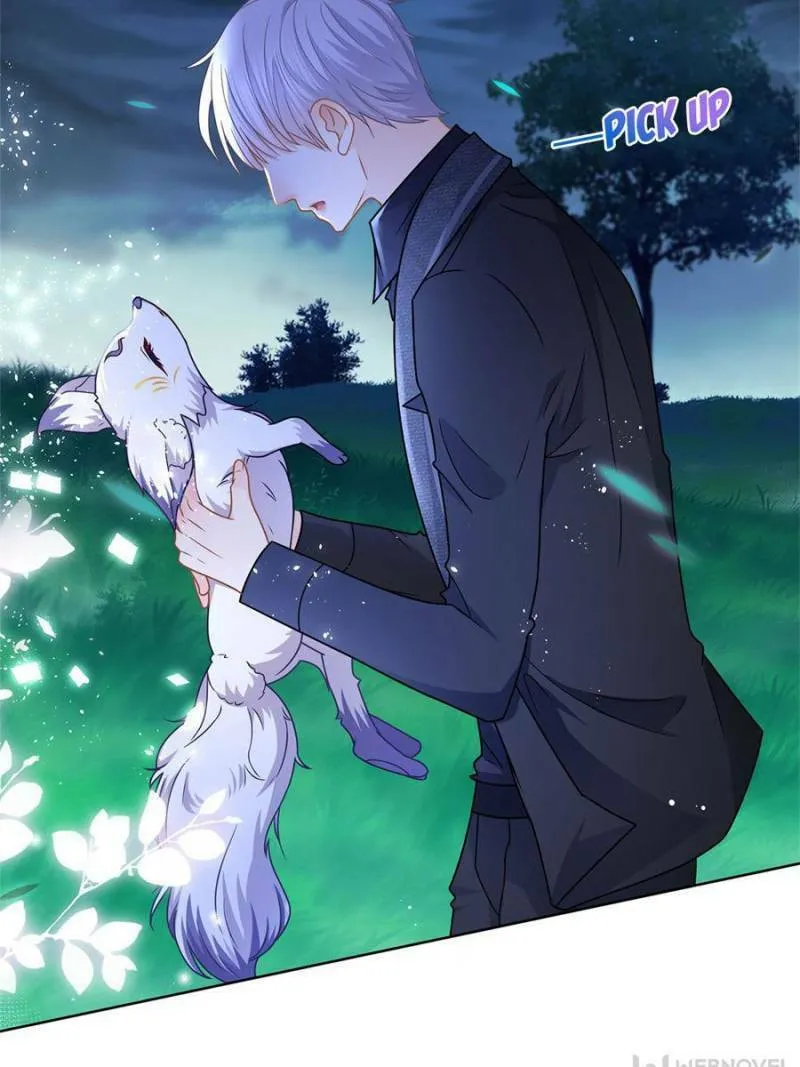 A Professional Assassin Raises a Fox Chapter 111 page 8 - 