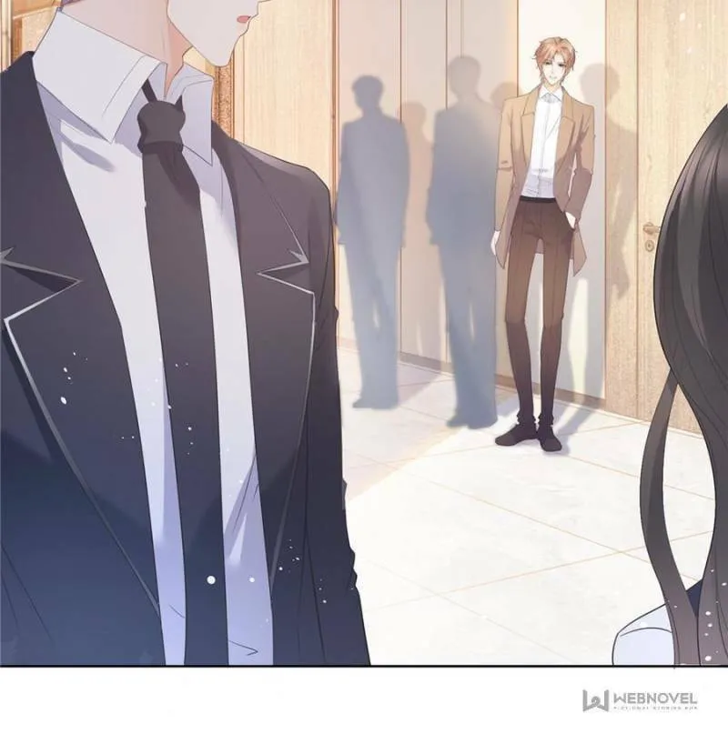 A Professional Assassin Raises a Fox Chapter 12 page 34 - 