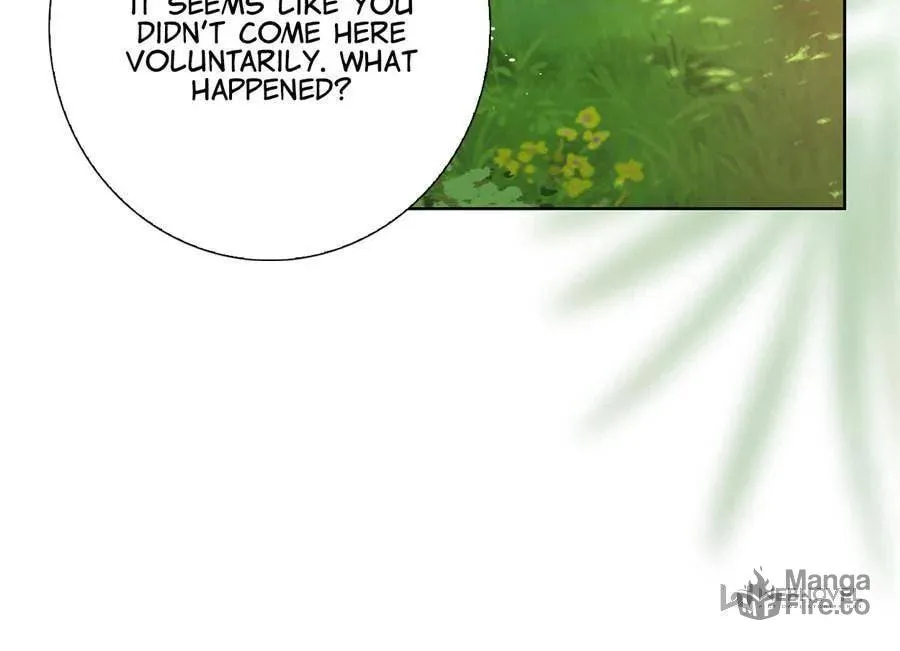 A Professional Assassin Raises a Fox Chapter 125 page 36 - 