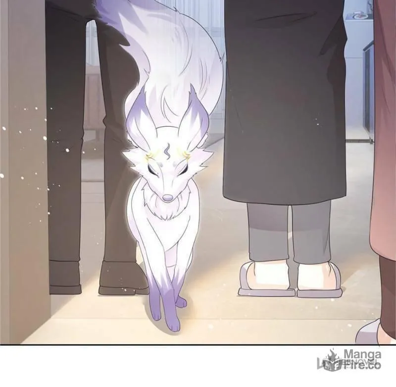 A Professional Assassin Raises a Fox Chapter 13 page 21 - 