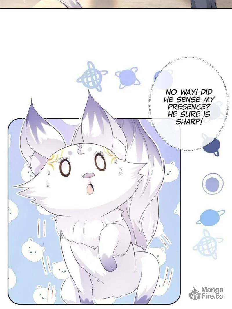 A Professional Assassin Raises a Fox Chapter 13 page 24 - 