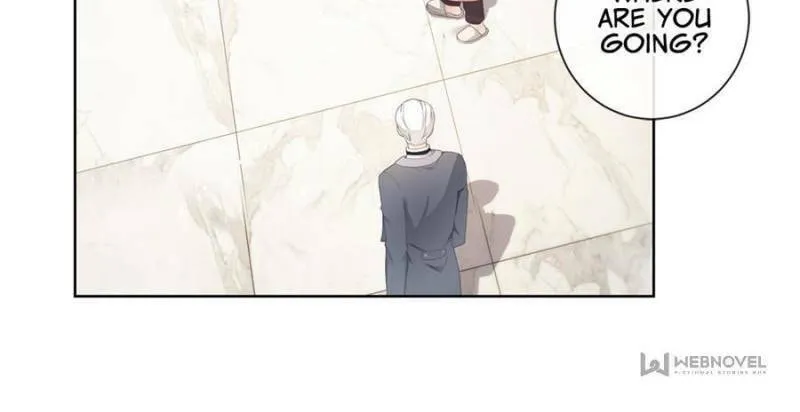A Professional Assassin Raises a Fox Chapter 14 page 4 - 