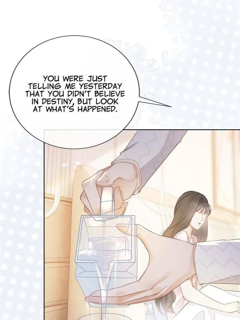 Read A Professional Assassin Raises a Fox chapter 18 image 12 on Lezhin
