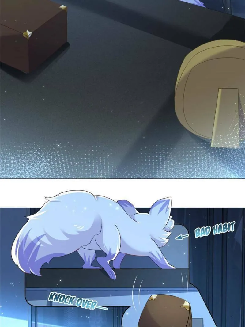 Read A Professional Assassin Raises a Fox chapter 2 image 10 on Lezhin