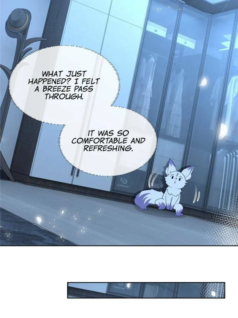 Read A Professional Assassin Raises a Fox chapter 2 image 16 on Lezhin