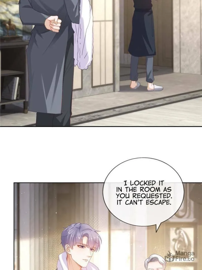 Read A Professional Assassin Raises a Fox chapter 2 image 19 on Lezhin