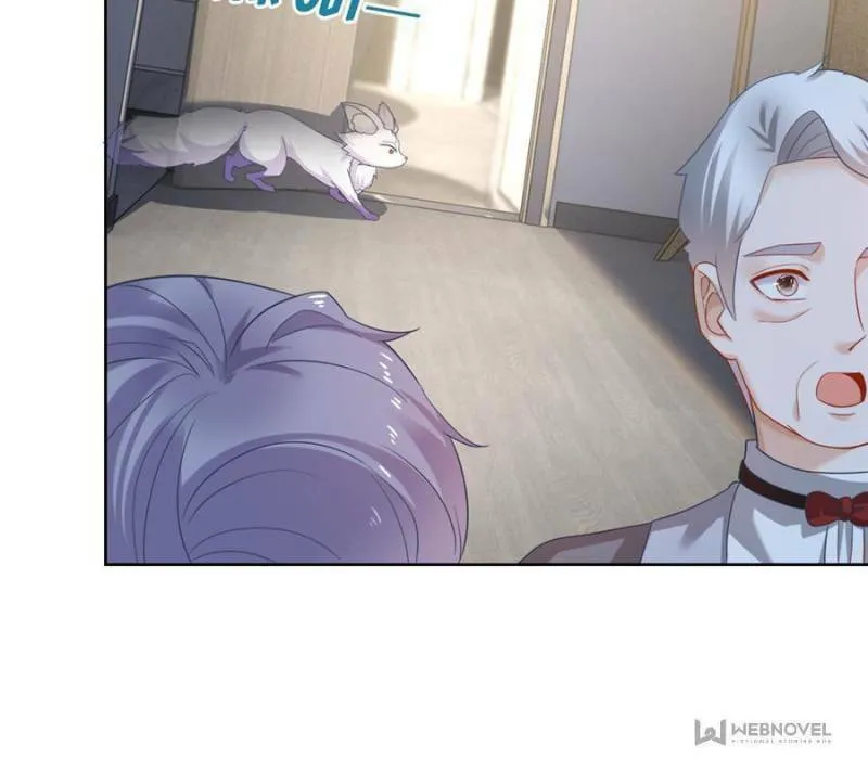 Read A Professional Assassin Raises a Fox chapter 2 image 25 on Lezhin
