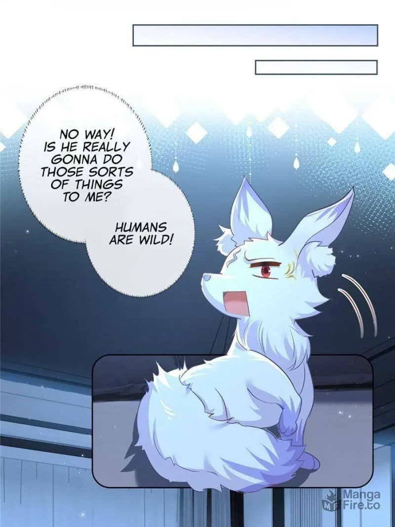 Read A Professional Assassin Raises a Fox chapter 2 image 5 on Lezhin
