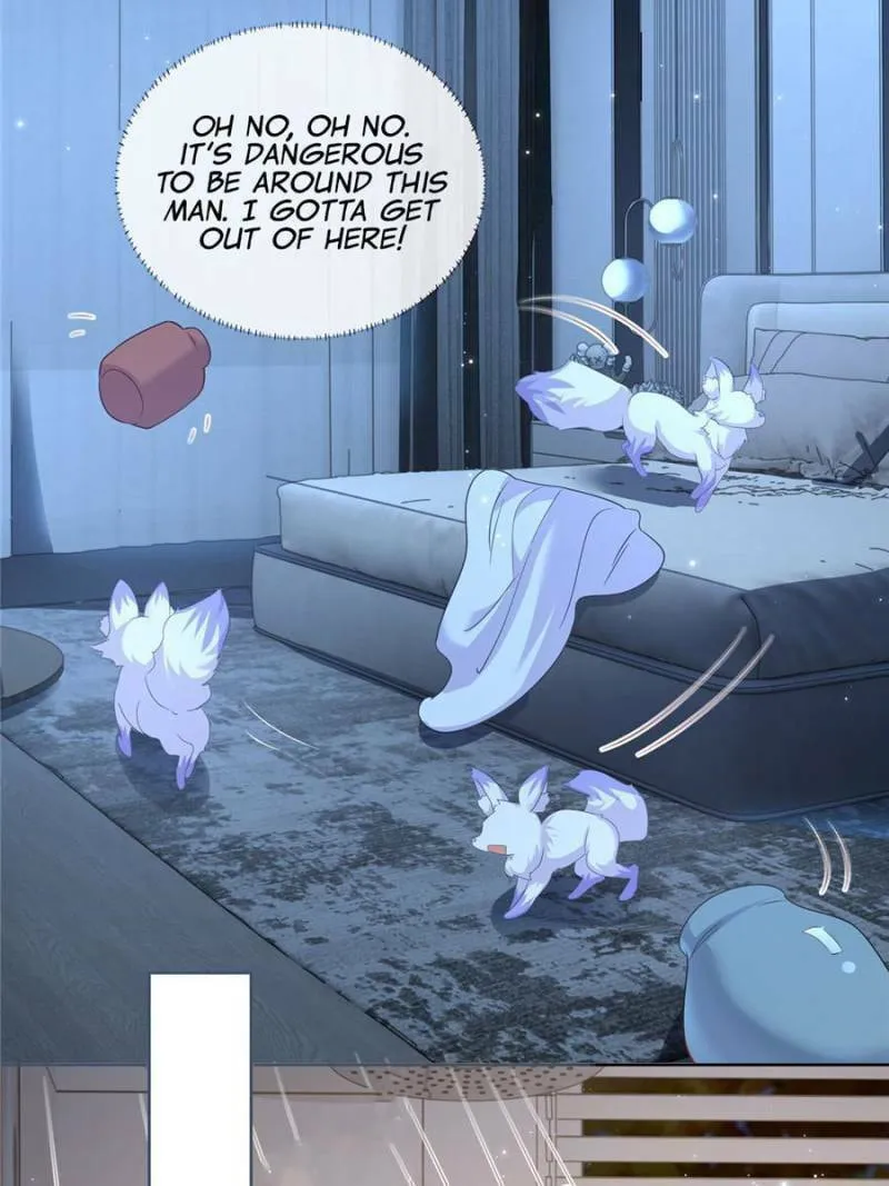 Read A Professional Assassin Raises a Fox chapter 2 image 6 on Lezhin