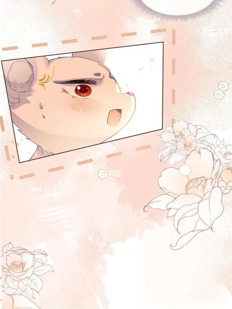 Read A Professional Assassin Raises a Fox chapter 53 image 13 on Lezhin