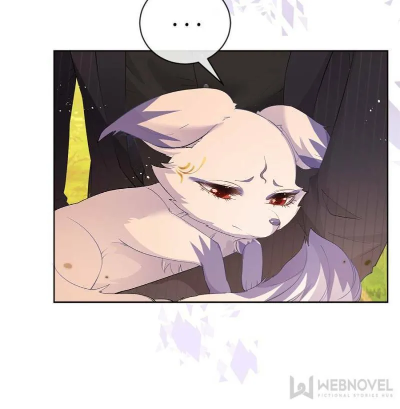 Read A Professional Assassin Raises a Fox chapter 53 image 7 on Lezhin