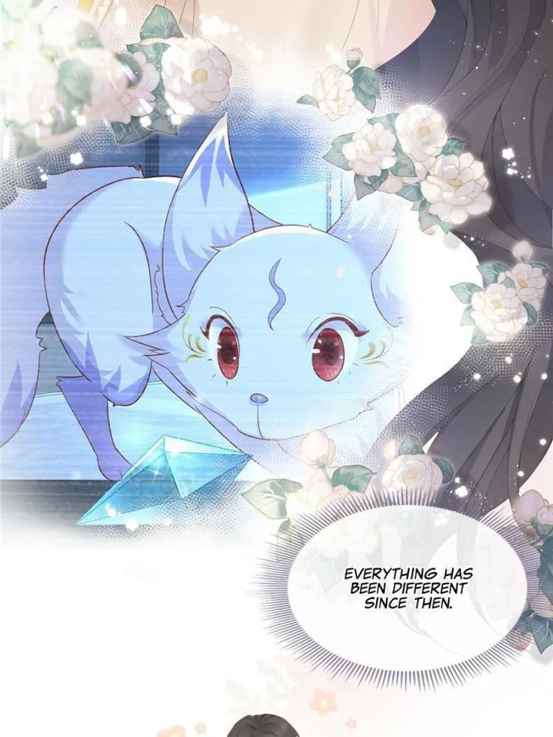 Read A Professional Assassin Raises a Fox chapter 6 image 48 on Lezhin