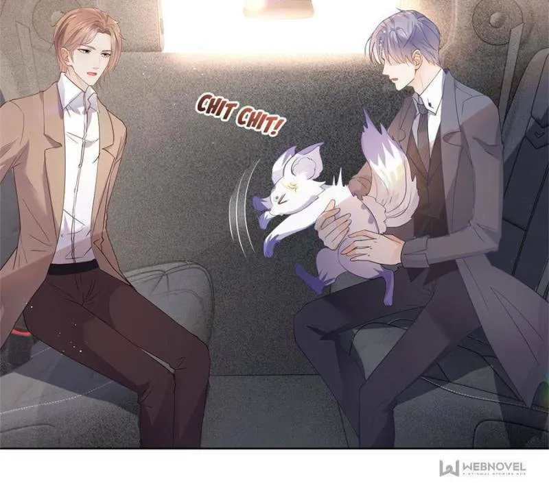 Read A Professional Assassin Raises a Fox chapter 70 image 22 on Lezhin