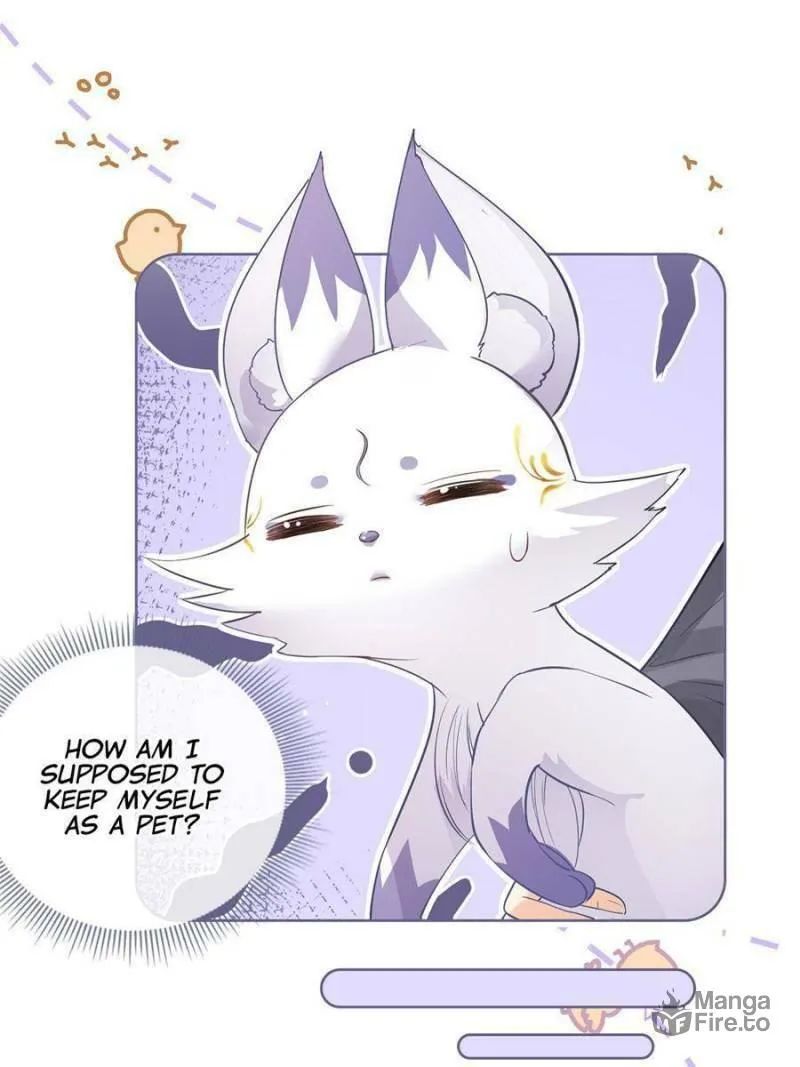 Read A Professional Assassin Raises a Fox chapter 70 image 23 on Lezhin