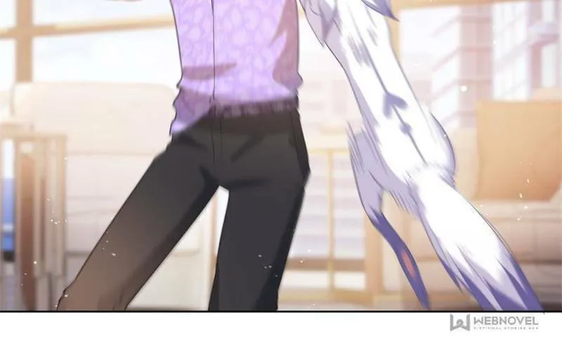 Read A Professional Assassin Raises a Fox chapter 71 image 21 on Lezhin