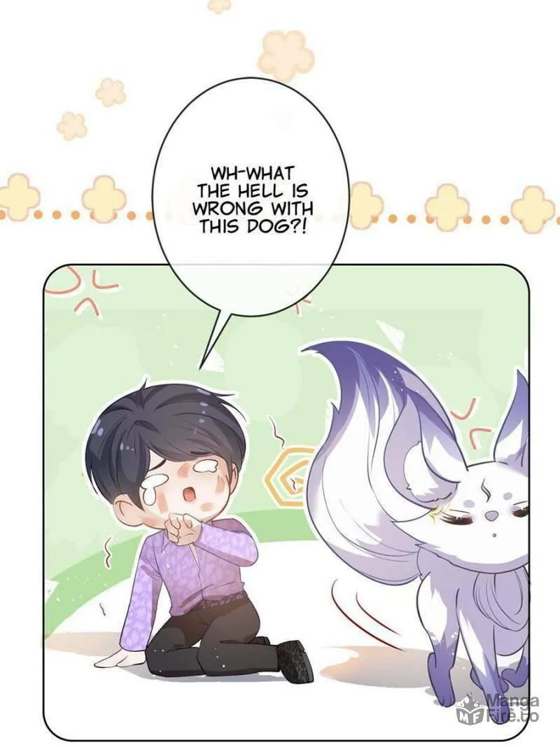 Read A Professional Assassin Raises a Fox chapter 71 image 23 on Lezhin