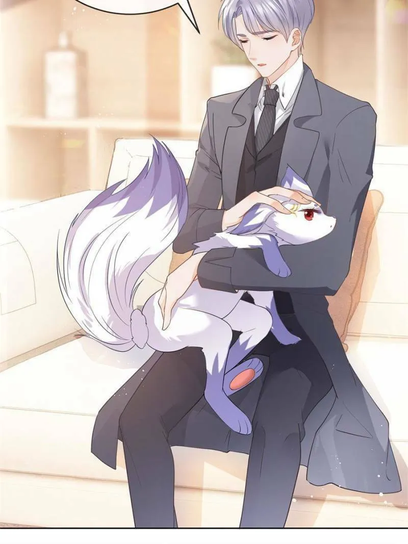 Read A Professional Assassin Raises a Fox chapter 73 image 1 on Lezhin
