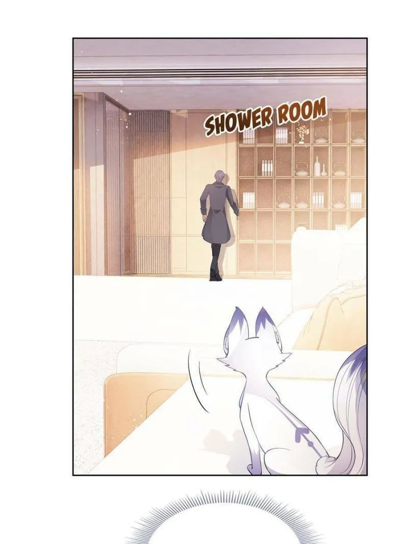 Read A Professional Assassin Raises a Fox chapter 73 image 12 on Lezhin