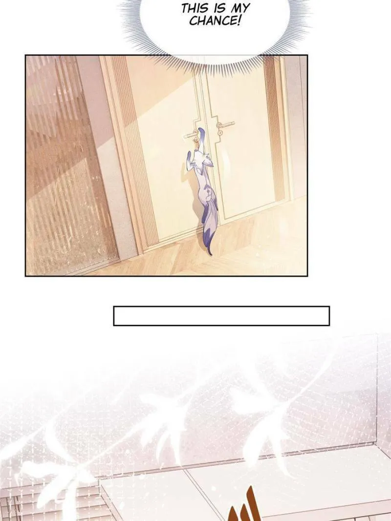 Read A Professional Assassin Raises a Fox chapter 73 image 13 on Lezhin