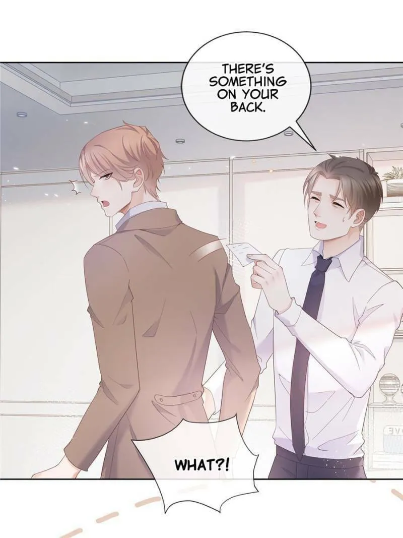 A Professional Assassin Raises a Fox Chapter 8 page 4 - 
