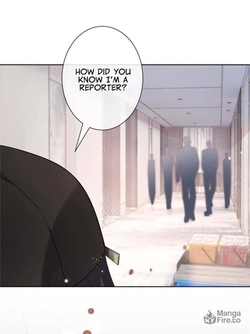 A Professional Assassin Raises a Fox Chapter 8 page 42 - 